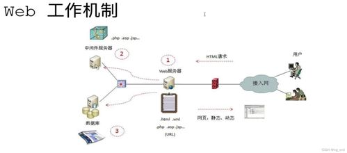 網(wǎng)絡(luò)安全學(xué)習(xí)路徑 從滲透測(cè)試到軟件開(kāi)發(fā)的全方位指南