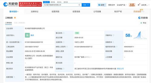 阿里巴巴同日成立兩家新數據科技公司，深化數據服務戰略布局